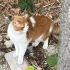 Sokağa terk edilen sevgi delisi bebek fotoğraf