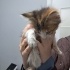 Minik Bebek Çok Acil Yuvasını Arıyor fotoğraf