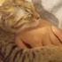 Yuva arıyoruz acil sokağa gitmesin fotoğraf