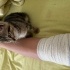BENGAL KIRMASI TEKİR ERKEK KEDİ fotoğraf