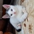 Minik yavrularımıza yuva fotoğraf