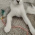 Ömürlük yuva 05362920371 fotoğraf