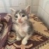 Luna’ya ömürlük yuva fotoğraf