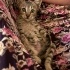 Garibin hikayesi bitmedi sizinle devam edebilir mi fotoğraf