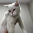 Bebek yuva arıyor fotoğraf