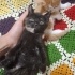 UYKUCU VE SAKİN SOFİAMIZ fotoğraf