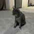 Sokakta bir prenses bulduk fotoğraf