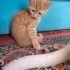 YAVRU BEBİŞLERE YUVA fotoğraf
