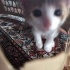 YAVRU BEBİŞLERE YUVA fotoğraf