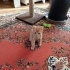 YAVRU BEBİŞLERE YUVA fotoğraf