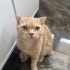 Acil yuva arıyoruz!!! fotoğraf