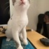 Son şansım olur musunuz? fotoğraf