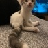 Son şansım olur musunuz? fotoğraf