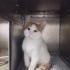 Pofuduk çocuğa yuva olmak ister misiniz🥰 fotoğraf