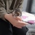 Acil emziren anne kedi fotoğraf