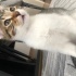 Minik oğluşa acil yuva fotoğraf