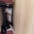 Kedi sahiplendirme fotoğraf
