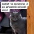 Sokakta buldugumuz cocuga yuva fotoğraf