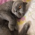 Sokakta buldugumuz cocuga yuva fotoğraf