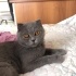Sokakta buldugumuz cocuga yuva fotoğraf