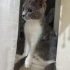 Ağzı bağlı çuvala koyup atmışlar fotoğraf