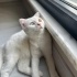 Çok oyuncu ve cana yakın fotoğraf