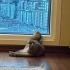 Çok güzel çocuk yuvasını arıyor fotoğraf
