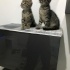 annesinin terkettiği 9 haftalık tekir acil yuva fotoğraf