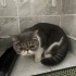 Yumağa acil ilan fotoğraf