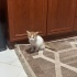 Ömürlük ailemi arıyorum 2 fotoğraf