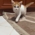 Ömürlük ailemi arıyorum 2 fotoğraf