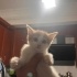 Ömürlük ailemi arıyorum 2 fotoğraf