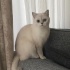 Güzel kızımıza ömürlük yuva fotoğraf
