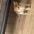 YAVRUMA YUVA ARIYORUM fotoğraf