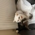 YAVRUMA YUVA ARIYORUM fotoğraf