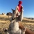 KÖPEK SALDIRISIMDAN KURTARILAN BADEME ÖMÜRLÜK YUVA fotoğraf