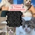 KÖPEK SALDIRISIMDAN KURTARILAN BADEME ÖMÜRLÜK YUVA fotoğraf