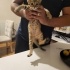 Bana isim vermek ister misin? fotoğraf