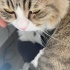 Sokakta şiddete uğramış fotoğraf