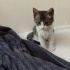 Prenses Luna neşe katacağı ailesini bekliyor fotoğraf