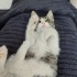 Prenses Luna neşe katacağı ailesini bekliyor fotoğraf