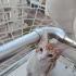 İlgi Bağımlıları fotoğraf