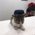Miniş bebek ömürlük yuvasın Arıyor