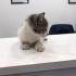 Miniş bebek ömürlük yuvasın Arıyor fotoğraf