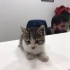 Miniş bebek ömürlük yuvasın Arıyor fotoğraf