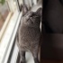ücretli değildir fotoğraf