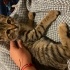 Karamel kızımıza acil ömürlük yuva fotoğraf