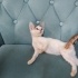 Engelli minik bir çocuk fotoğraf
