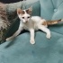 Engelli minik bir çocuk fotoğraf
