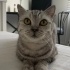 Uysal kız yuva arıyor fotoğraf
